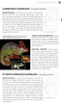 Field Guide to East African Reptiles - Steve Spawls 2018